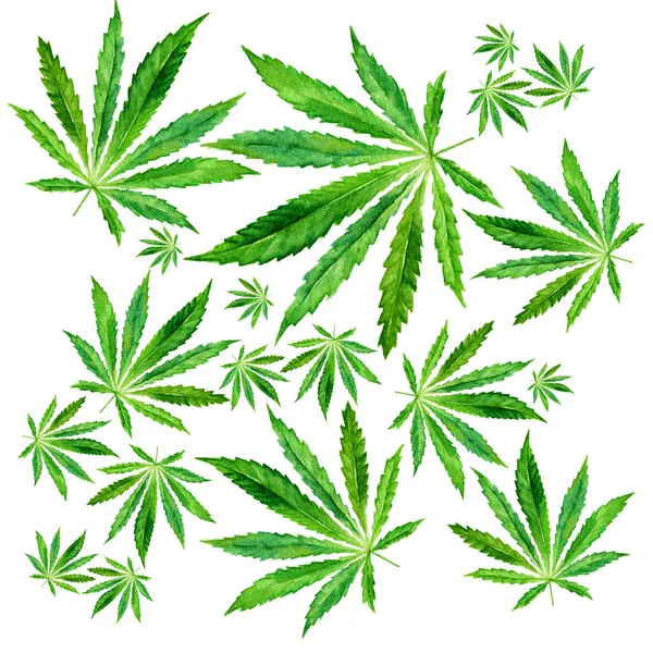 Menge Cannabisblätter auf weißem Hintergrund — Stockfoto