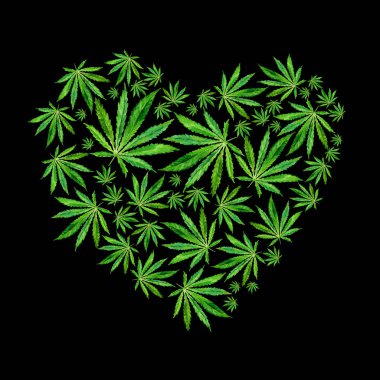 Parlak yeşil esrar sativa yaprakları kalbinde
