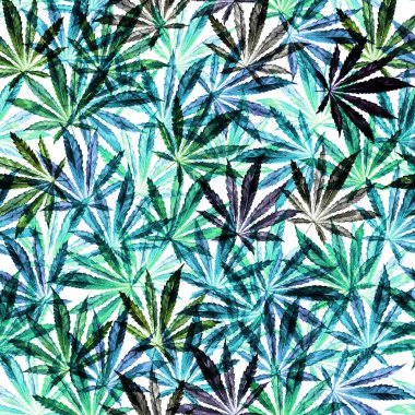 Beyaz arkaplanda yeşil kenevir yaprakları