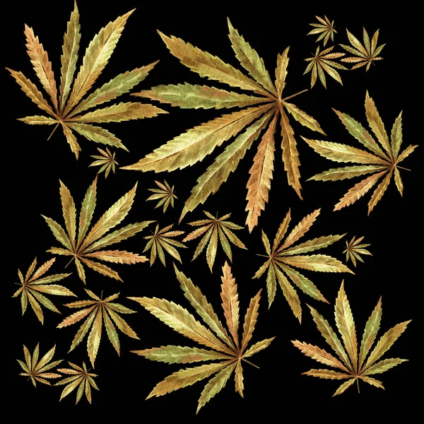 Menigte van Cannabis laat op zwarte achtergrond — Stockfoto