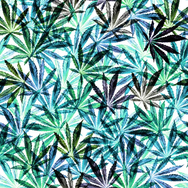 Hojas de cannabis verde sobre fondo blanco — Foto de Stock