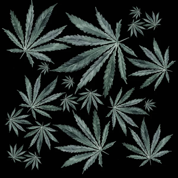 Tömeg a Cannabis levelek fekete háttér — Stock Fotó