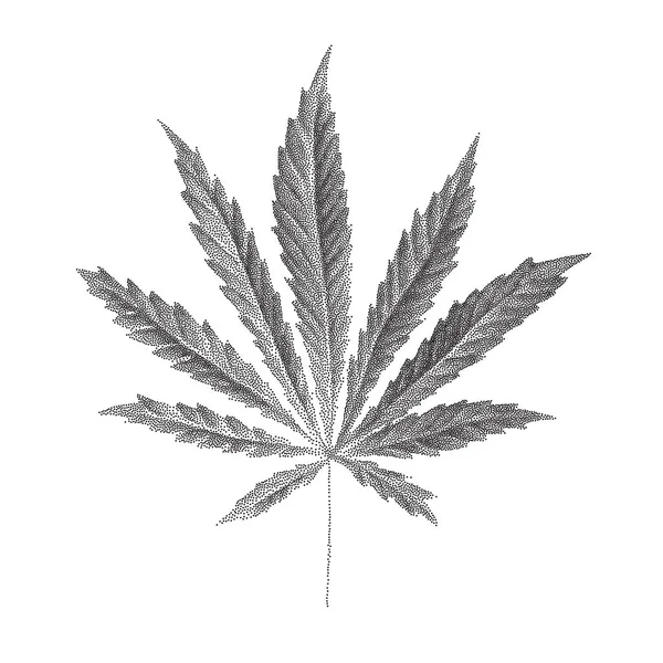 Vektorillustration av prickade Cannabis sativa blad — Stock vektor