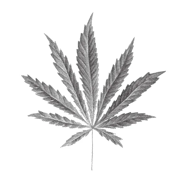 Ilustración vectorial de la hoja de Cannabis sativa punteada — Vector de stock