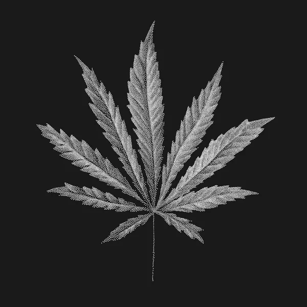 Noktalı esrar sativa yaprak vektör çizim