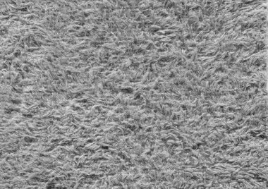 Gri halı doku Close-Up
