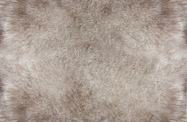 Mink Fur Mink Srst Textura Světle Béžové Barvy Close Pozadí — Stock fotografie