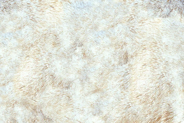 Mink Fur Tekstur Bulu Tinta Berwarna Krem Terang Latar Belakang — Stok Foto