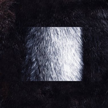 Koyu kahverengi arkaplanlı tilki kürkü deseni. Siyah vizon kürk desenli arka plan. Hayvan kürkü dokusu. Doğal kısa saçlı hayvan..