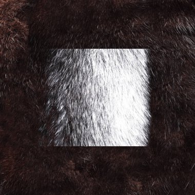Koyu kahverengi arka planda vizon kürk deseni. Siyah vizon kürk desenli arka plan. Hayvan kürkü dokusu. Doğal kısa saçlı hayvan..