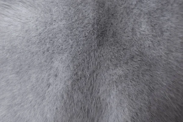 光のミンク毛皮のテクスチャ グレーの色のクローズアップ背景 グレーミンクの毛皮のコートのテクスチャの背景 動物の毛皮の質感 グレーナチュラルショートヘア動物を閉じます — ストック写真