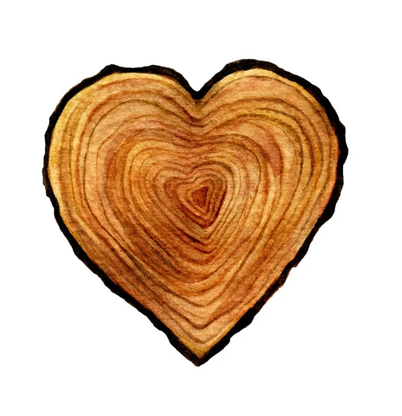 Aquarell Holz Herz isoliert auf weißem Hintergrund. Aquarell Herz Holz Scheibe Illustration. — Stockfoto