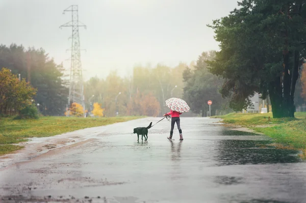 Дівчина з собакою проходить крізь калюжі — стокове фото
