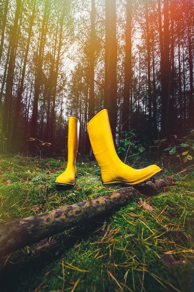 Yellow rubber boots in the forest