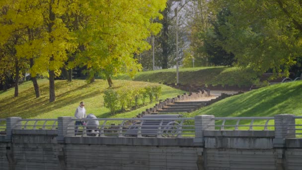mère avec une poussette marchant dans le parc 