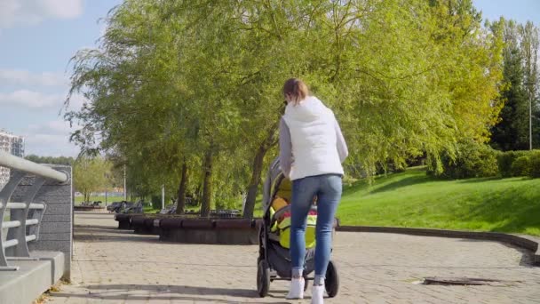 Ibu dengan kereta bayi dan seorang anak berjalan di taman di sepanjang sungai — Stok Video