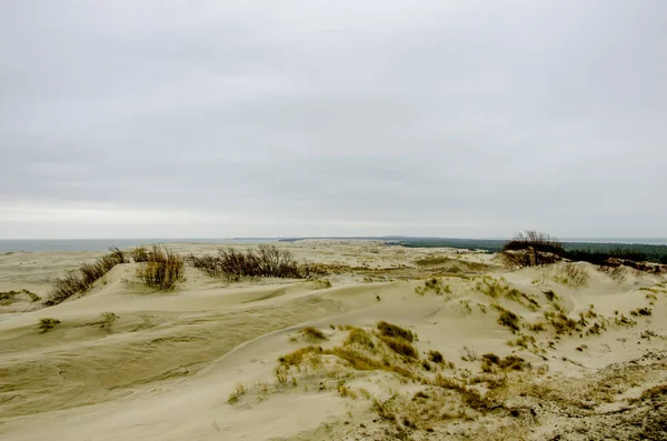 Kışın Curonian lagoon