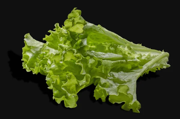 Der grüne Salat — Stockfoto