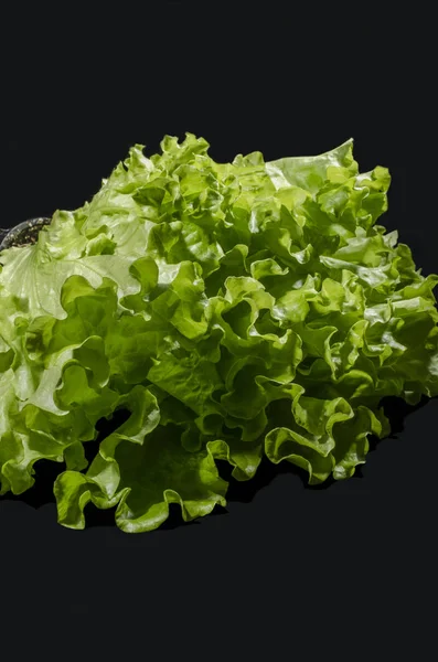 The green  lettuce