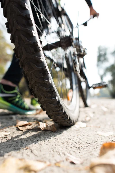 Vista trasera del hombre con bicicleta — Foto de Stock