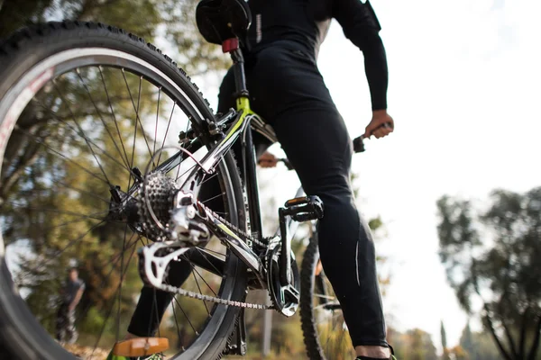 Вид сзади на человека с велосипедом — стоковое фото