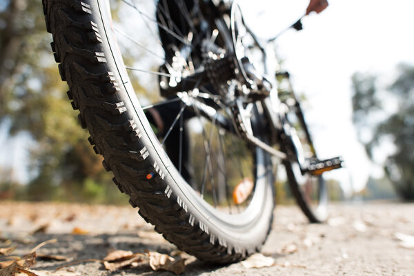 Rear view of man with bicycle