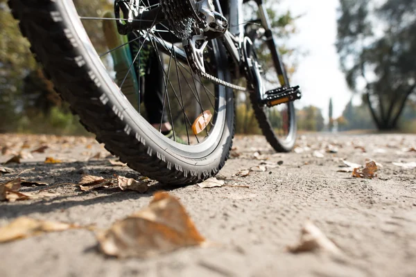 Visão traseira do homem com bicicleta — Fotografia de Stock