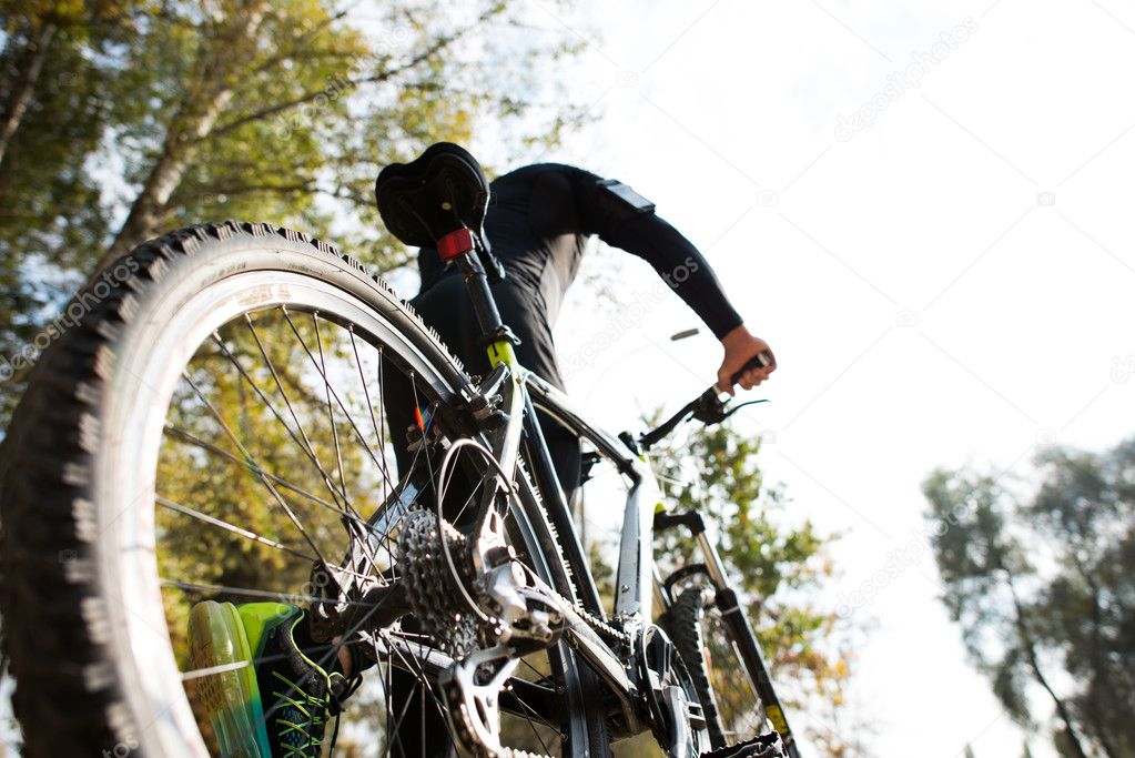 Low angle, rear view of man with bicycle on blurred autumn nature background
