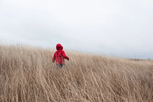 Little boy walking in dry grass — Stock Photo, Image