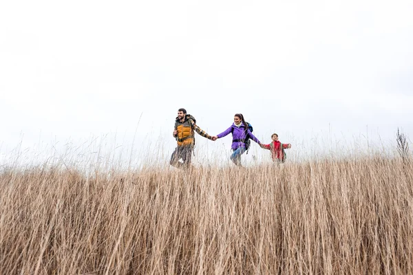 Happy family with backpacks walking in grass — Stockfoto