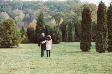 Mature couple walking in autumn park clipart