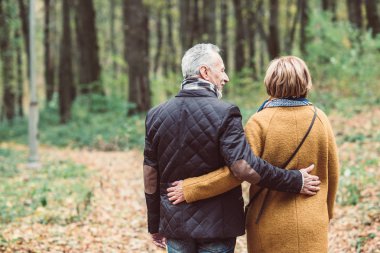 Mature couple walking in autumn park clipart