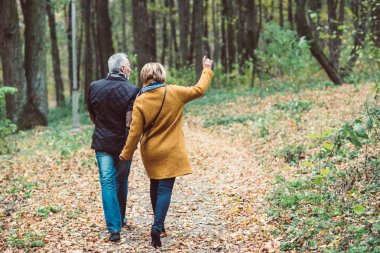 Mature couple walking in autumn park clipart
