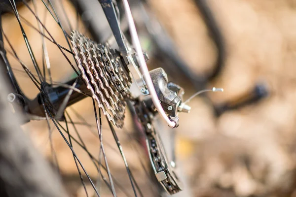 Rear wheel of bicycle — Stock Photo