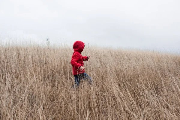 Pequeño niño caminando en hierba seca - foto de stock