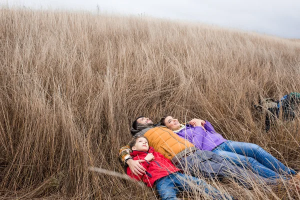 Улыбающаяся семья обнимается в траве — стоковое фото