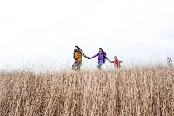 Familia feliz con mochilas caminando en la hierba - foto de stock