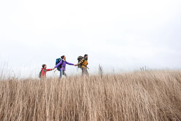 Щаслива сім'я з рюкзаками, що ходять по траві — стокове фото