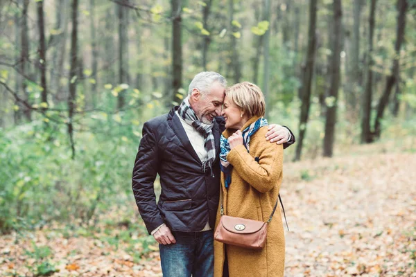 Beau couple mature dans le parc — Photo de stock