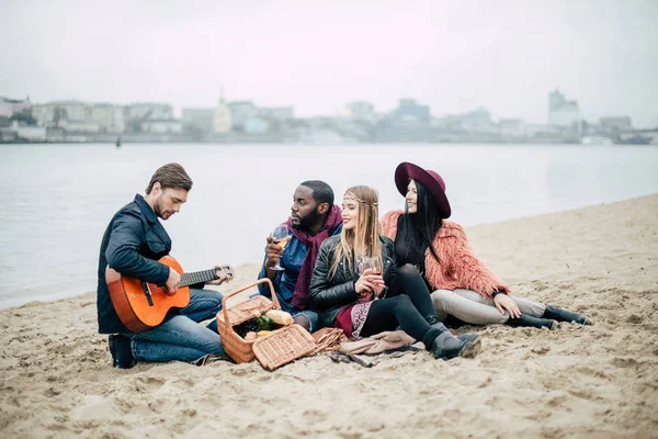 Felices jóvenes amigos con guitarra en el picnic - foto de stock