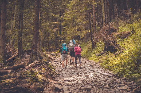 People are walking along rocks road — Stock Photo, Image