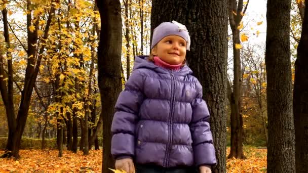 Ребенок в осеннем лесу — стоковое видео