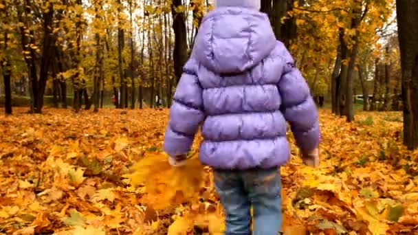 Ein Kind geht im Herbstpark spazieren — Stockvideo