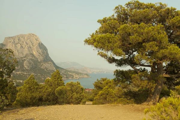 Çakıl taşlı sahilden deniz manzarası