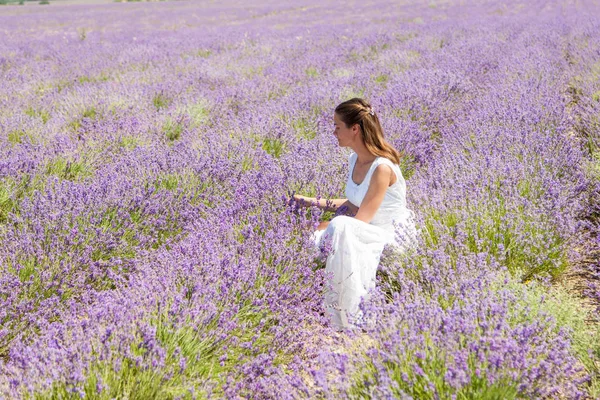 A menina coleta lavanda — Fotografia de Stock