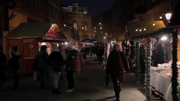 Європейська Різдва, Будапешт — стокове відео