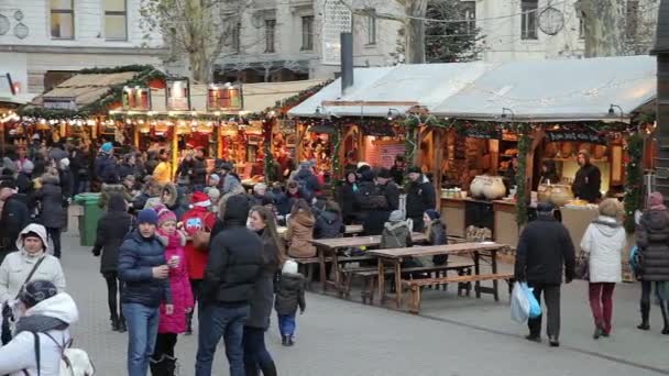 欧洲圣诞节布达佩斯 — 图库视频影像