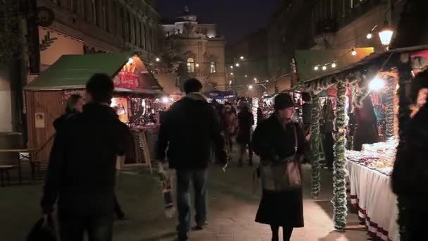 Europeiska jul, Budapest — Stockvideo