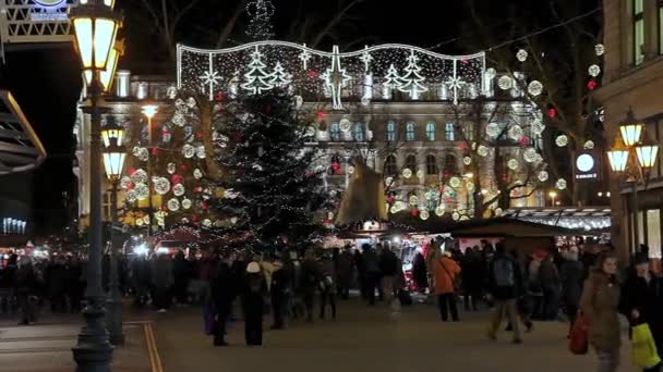 Europeiska jul, Budapest — Stockvideo