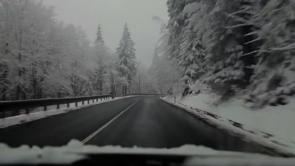 Winter weg in de Tsjechische Republiek. — Stockvideo